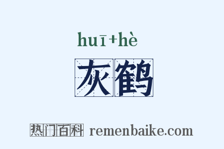 灰鹤是什么意思的图片